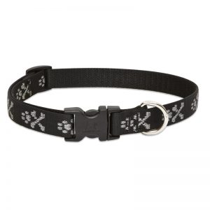 Lupine nyakörv BLING BLONZ (1,9 cm x 23-35 cm)